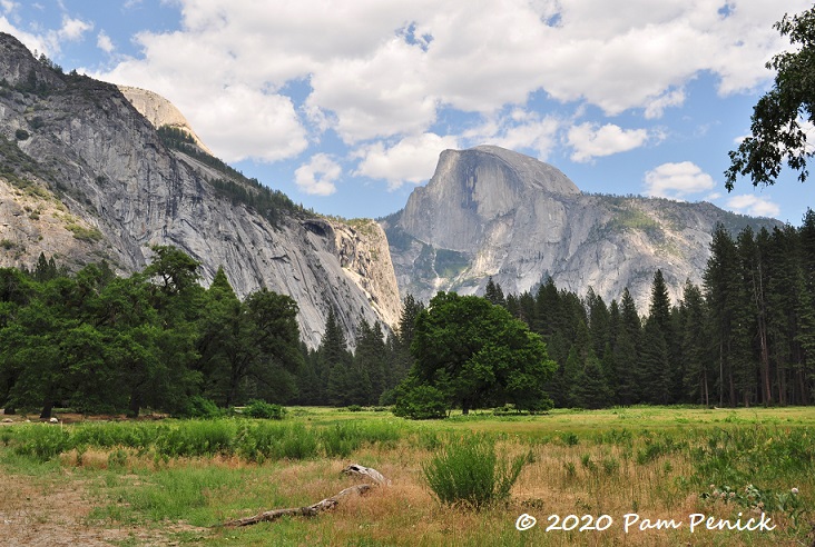 JAPAN TRAVEL AND BEYOND  HOW NOT TO DIE: HALF DOME — her atlas