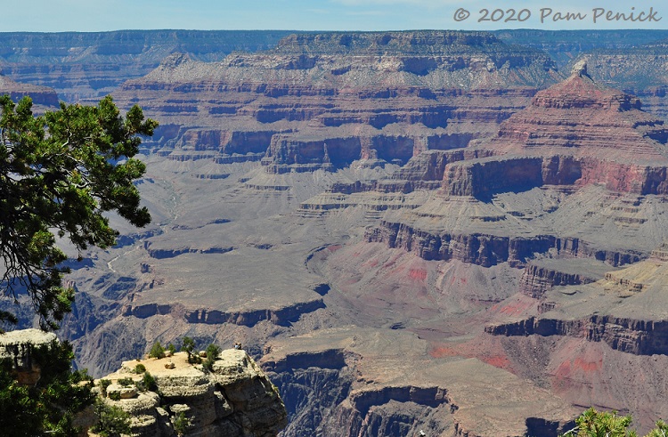 Grand views at Grand Canyon