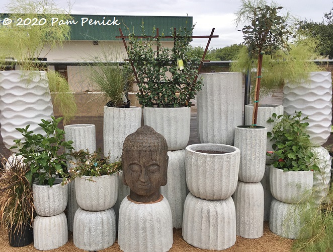 Garden Seventeen, a new nursery in north-central Austin