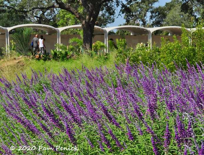 Brand New Houston Botanic Garden
