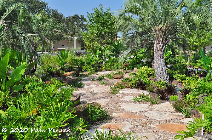 Brand-new Houston Botanic Garden showcases tropical and subtropical plants - part 1