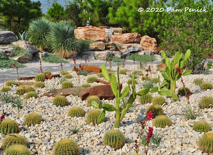 Houston Botanic Garden's surprising cactus garden and more - part 2