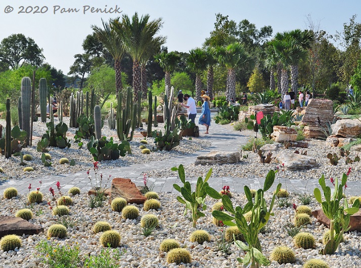 CACTUS GARDEN