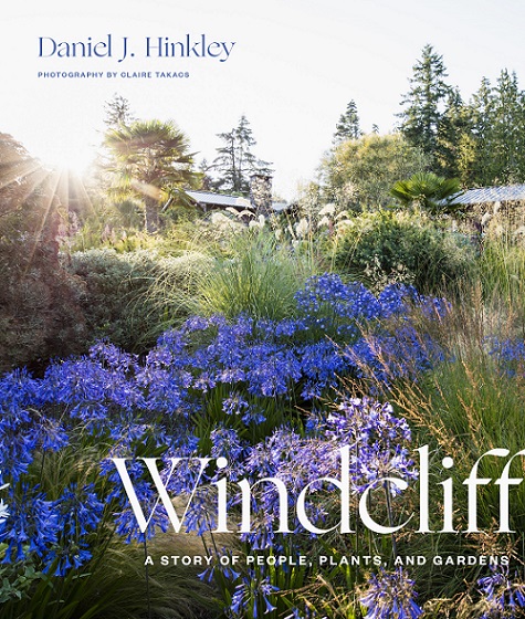 Read This: Windcliff by Daniel Hinkley