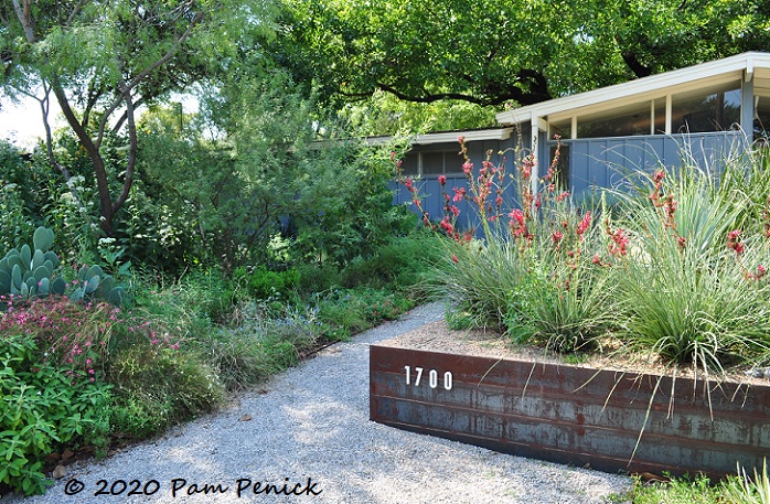 Plant trials with style at Redenta’s Landscape Design office garden