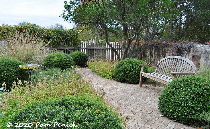 Home-garden design inspiration using native plants