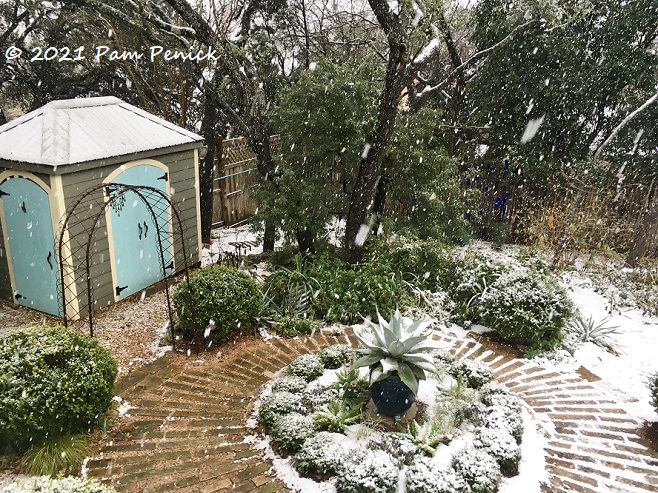 Snow day in Austin, Texas!