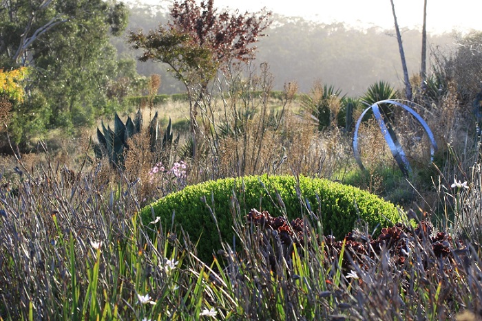Yalamurra, a "garden of survivors" in South Australia offers Texas inspiration