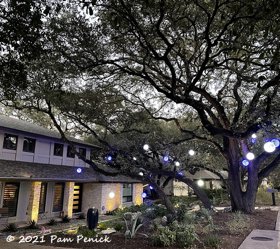 Glowing front-yard gardens, plus Fearless Gardening winner