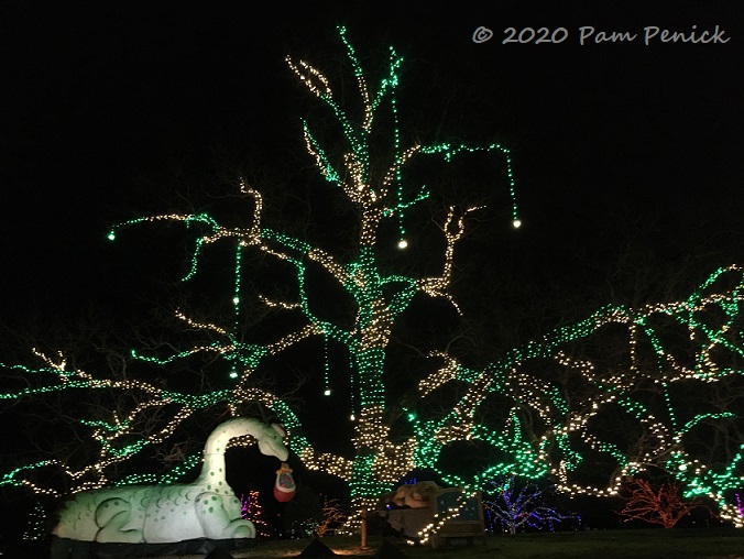 Wrapping up socially distant 2020 with drive-through Trail of Lights