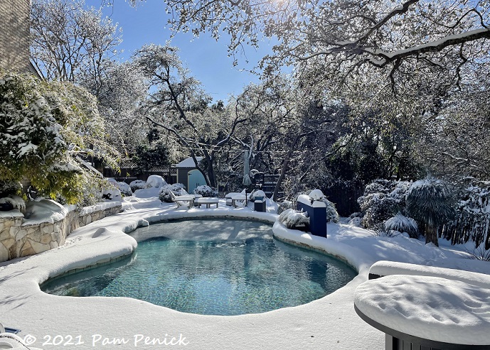 After the beautiful, terrible Texas snowpocalypse