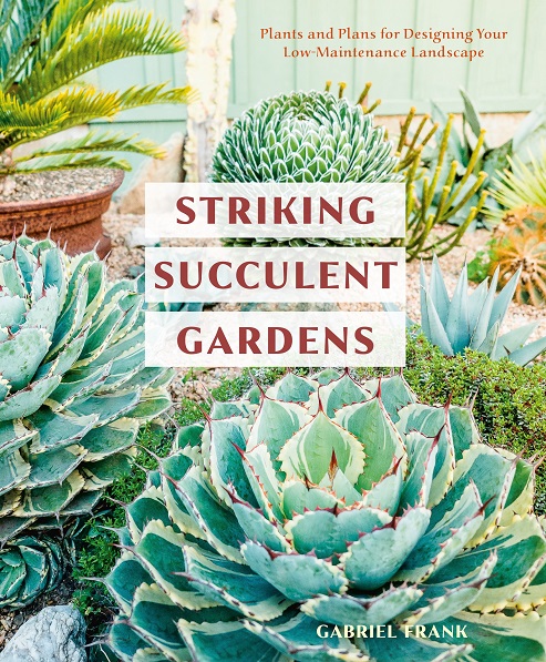 Read This: Striking Succulent Gardens