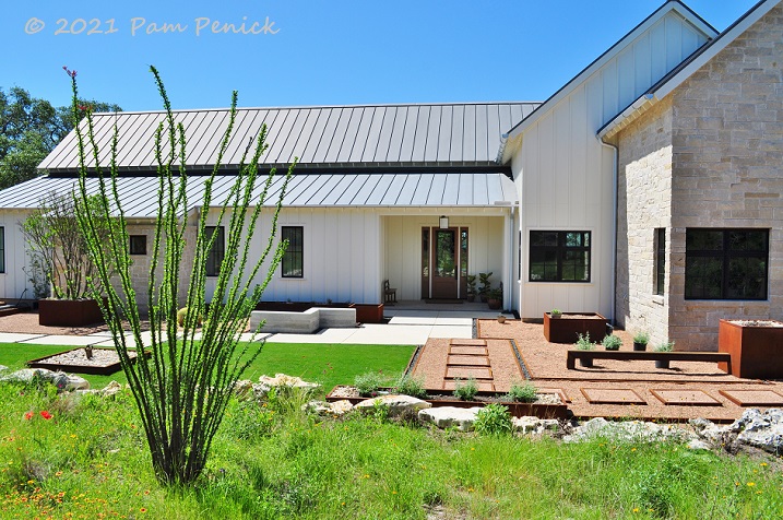 Modern ranch garden embraces water collection and wildflowers in New Braunfels