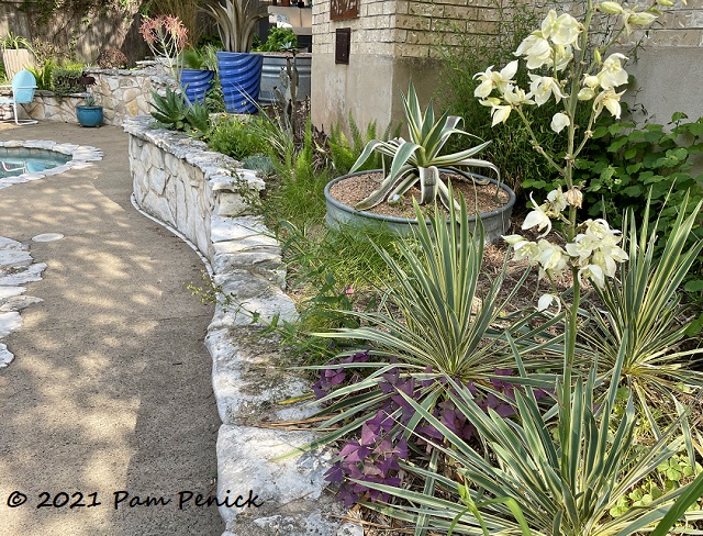 A week of bloom spikes and rain