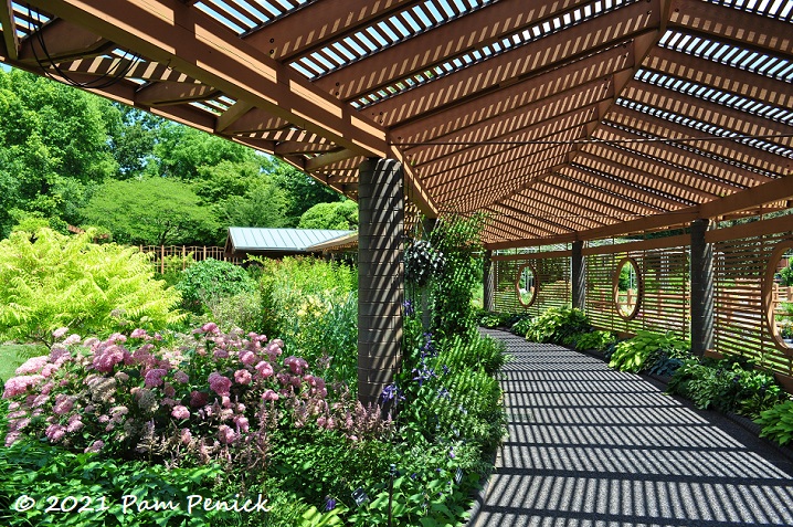 Home gardening inspiration, plus a boxwood garden and Chinese garden: Missouri Botanical Garden, part 4