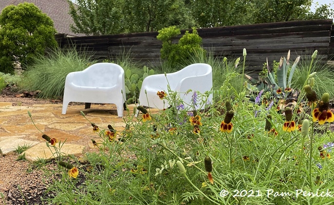 Wildflowers, water features, and flying pigs add charm to no-lawn garden in Cedar Park