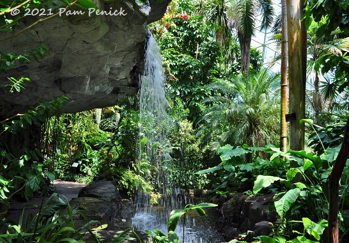 Maison tropicale Climatron, sculpture en origami, et plus encore Jardin botanique du Missouri