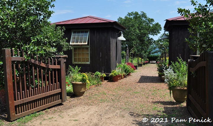 Tour of P. Allen Smith's home, vegetable garden, and rose garden at Moss Mountain Farm