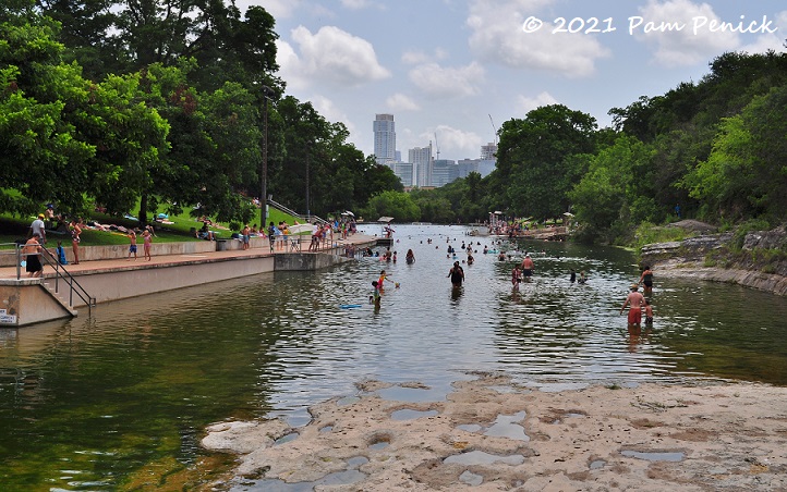 Swimming at Barton Springs Pool, the ultimate summer cool-down