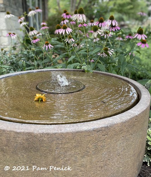 Pretty native plants and fountain at Cat's garden