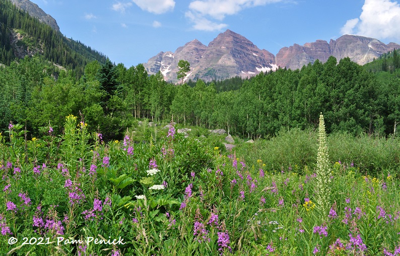 Maroon Bells hike through Colorado wildflowers