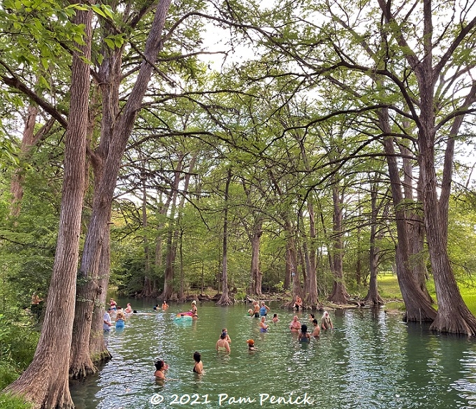 16 Unique Things to Do in Wimberley, Texas - Totally Texas Travel