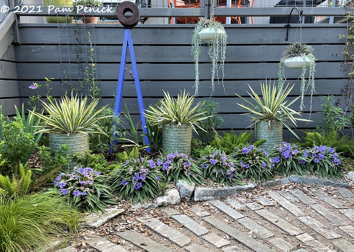 Garden bed evolution and a newly named agave