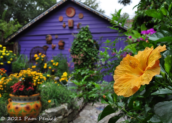 Lucinda Hutson's colorful Day of the Dead garden