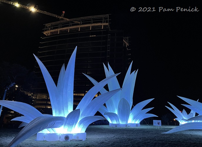 Creek Show 2021 lights up spacious new Waterloo Park