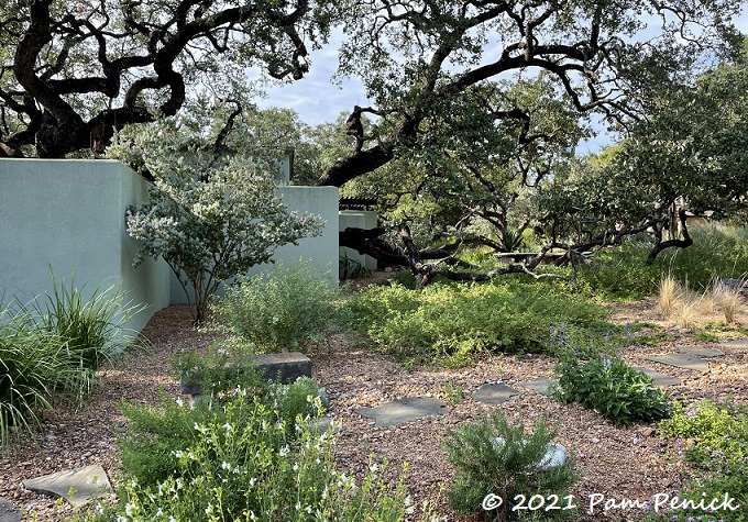 Image of Pea gravel mulch suburban lawn and garden