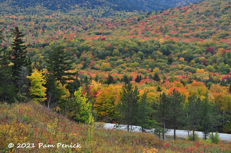 Autumn turns New Hampshire’s White Mountains orange, crimson, and gold