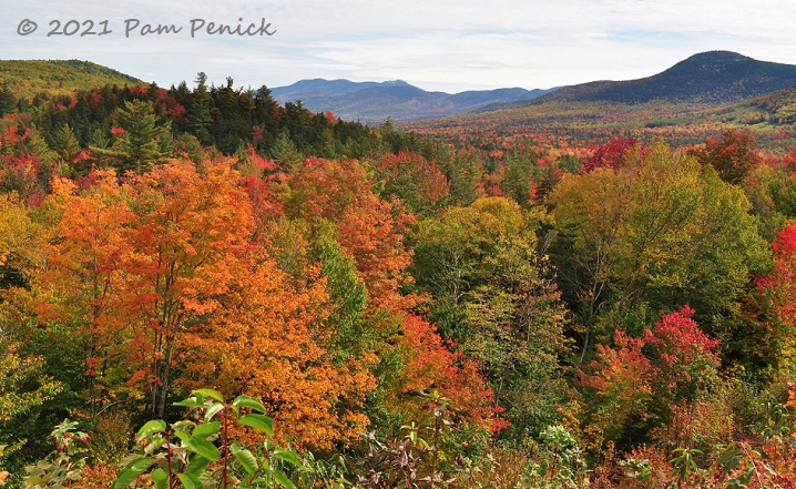 Autumn turns New Hampshire's White Mountains orange, crimson, and gold