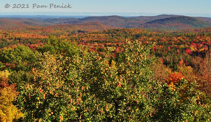Vermont’s Green Mountains blush orange and red in October