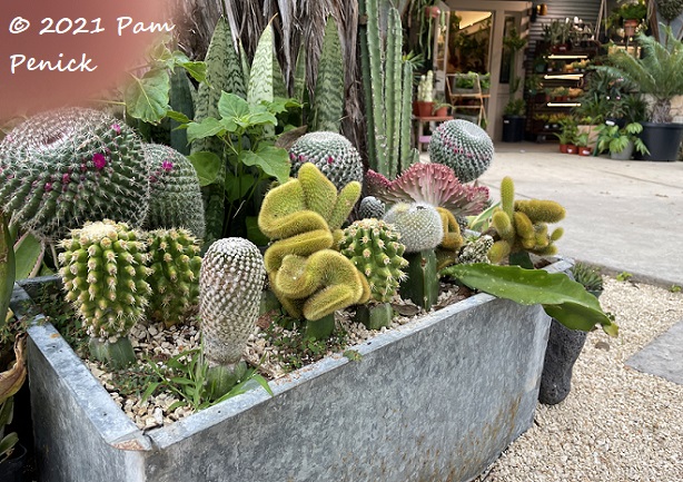 Ceremony garden shop in Wimberley - Digging