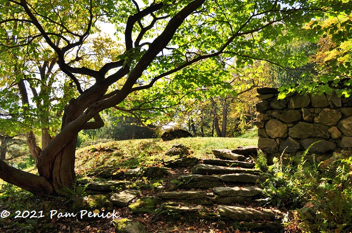 Fill up your cup at Innisfree Garden, part 1