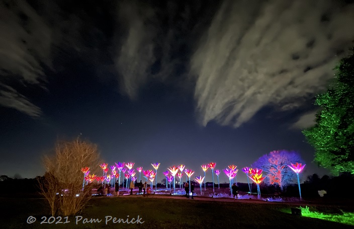 Houston Botanic Garden brightens the holidays with Lightscape