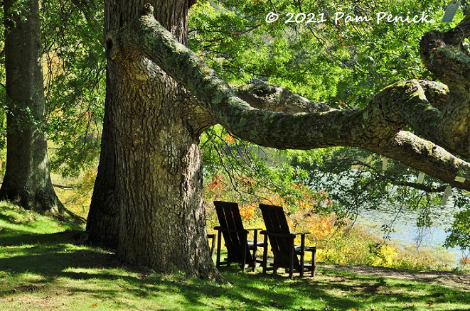 Looking inward at Innisfree Garden, part 2