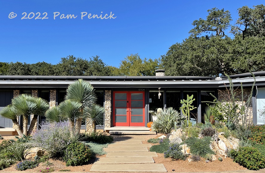 A Texas-style crevice garden - and neighborly collaboration - brings midcentury Austin home to vibrant life