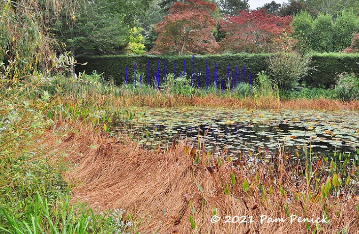 LongHouse Reserve ramble, Part 3: Pond, zodiac amphitheater, and grass garden