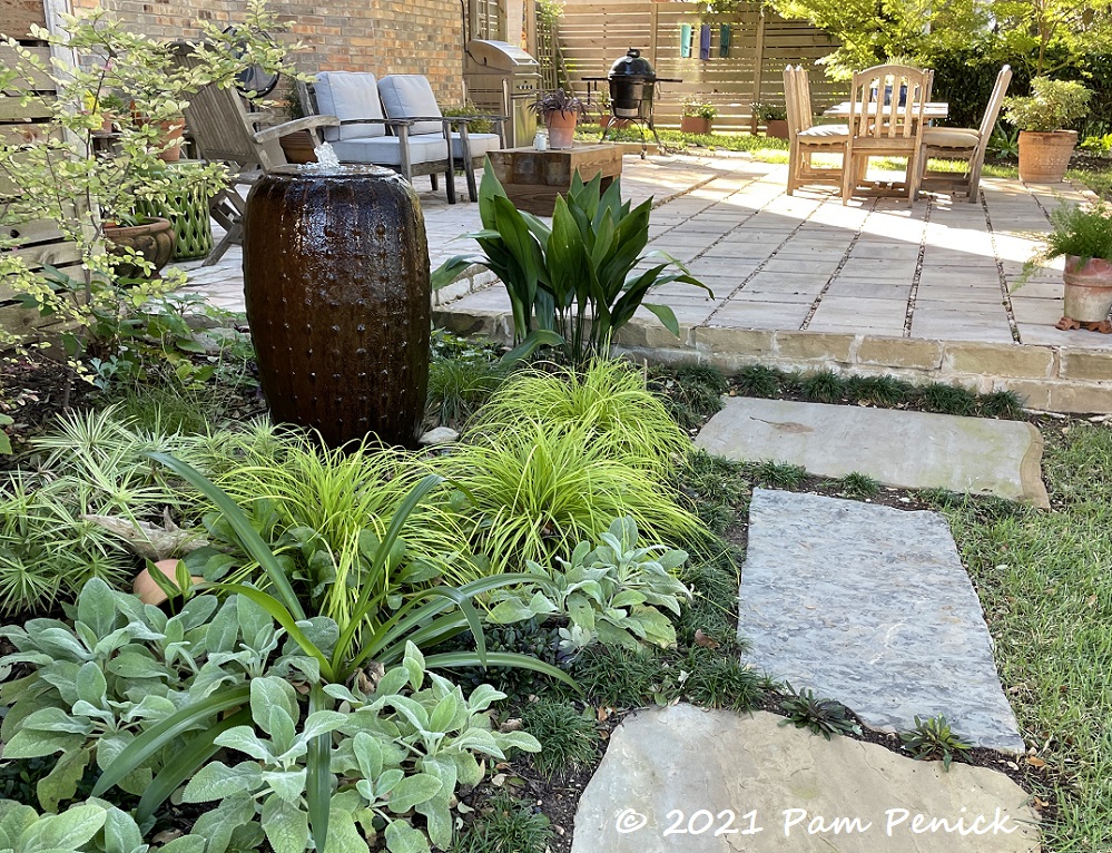 Anemones and autumn memories in Cat's garden