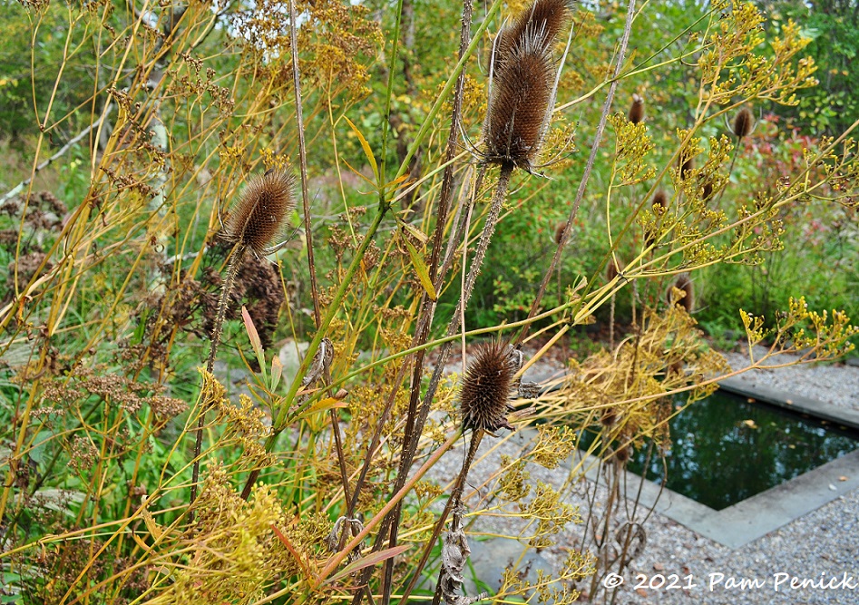 James Golden's Federal Twist garden is like Fight Club, except we do talk about it