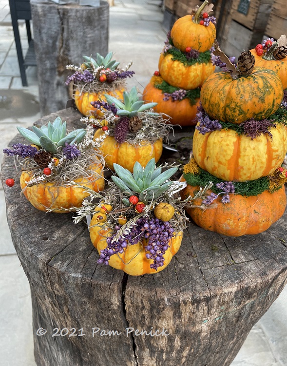 DIY Fall Themed Wood Burning Sign • RUTHIE TABONE DESIGN