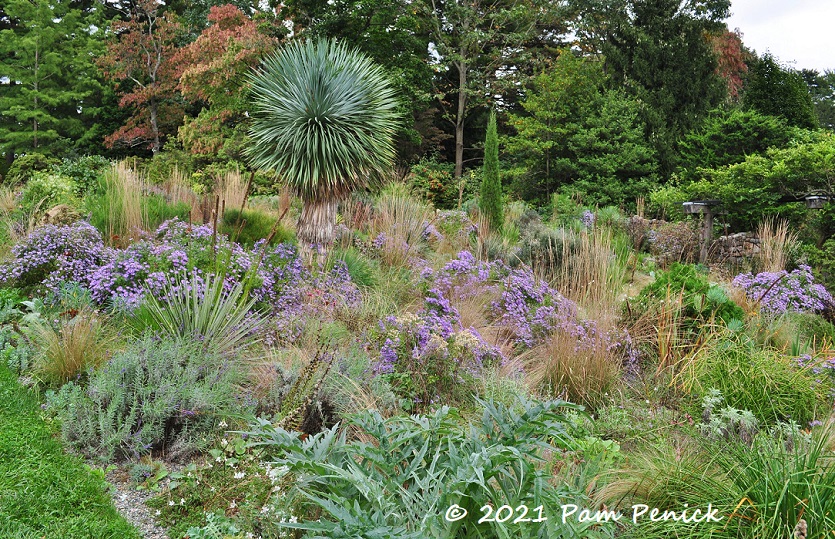 Gravel garden at Chanticleer reminds me of Texas