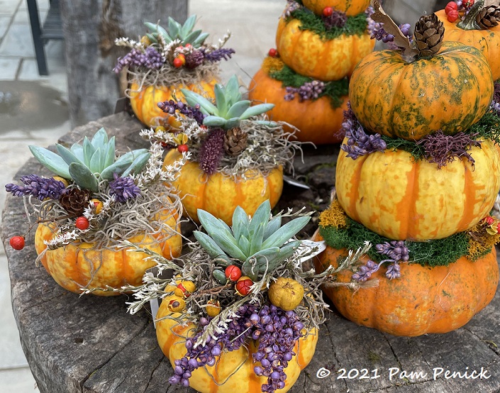 Pumpkin spice florals at Terrain garden shop