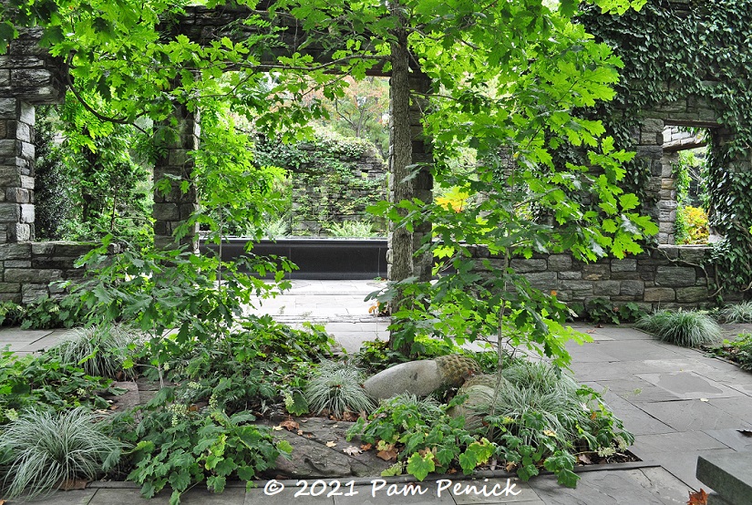 A garden rising from ruin at Chanticleer