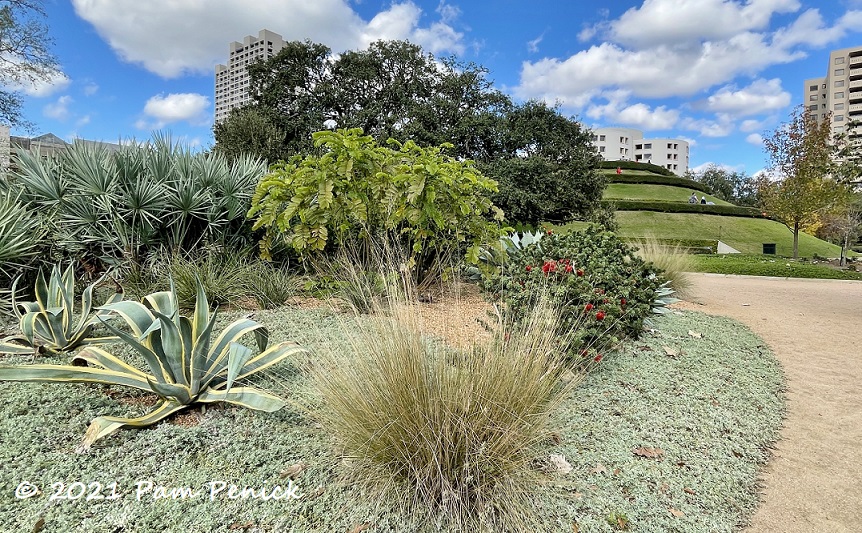Exploring Houston's Centennial Gardens and Japanese Garden