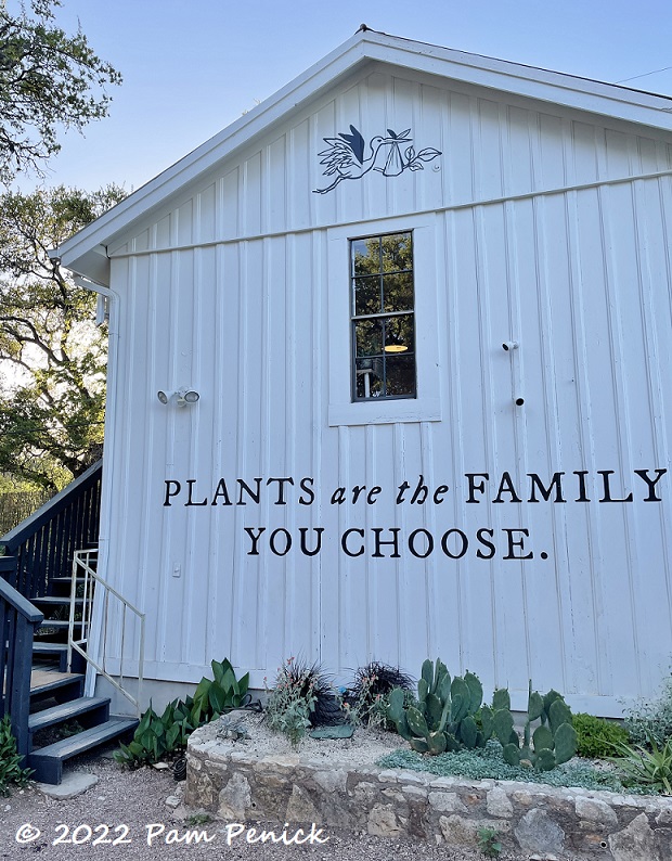 01 Plants are family you choose mural – TodayHeadline