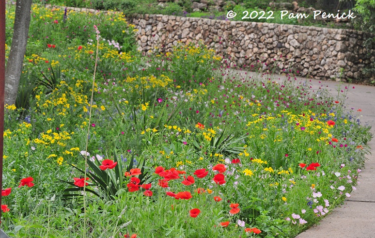 Wildflower-palooza at Ruthie Burrus Garden, part 1 - Digging