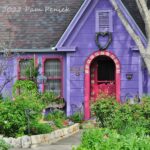 Spring garden party at Lucinda's purple casita