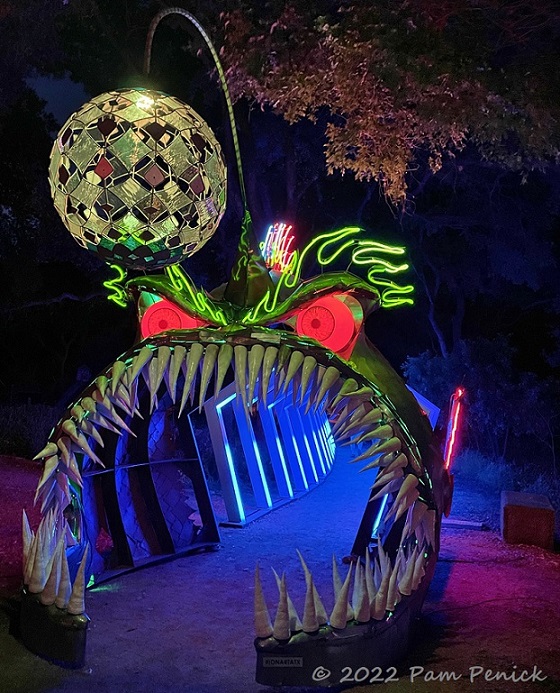 Zilker Garden turns surreal after dark with fantastical neon art